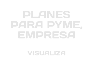 PLANES PARA PYME, EMPRESA VISUALIZA